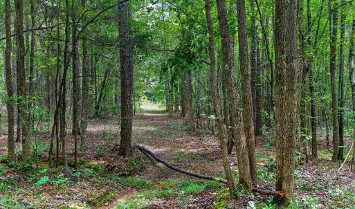 Photo #31 of 7000 John Furr Rd, Concord, NC 25.0 acres