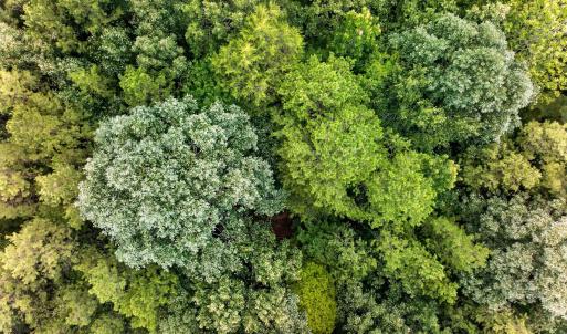 Photo #12 of 7000 John Furr Rd, Concord, NC 25.0 acres