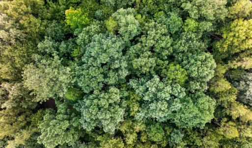 Photo #3 of 7000 John Furr Rd, Concord, NC 25.0 acres