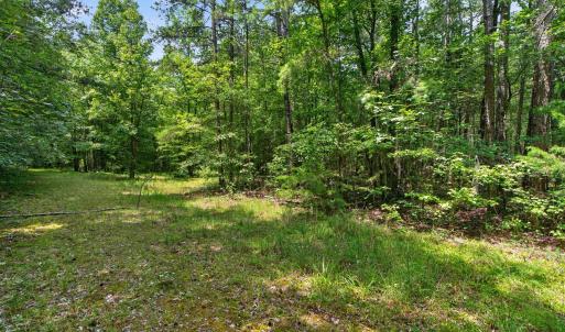 Photo #32 of 7000 John Furr Rd, Concord, NC 25.0 acres