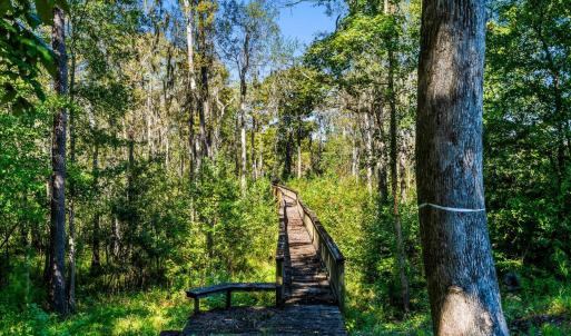 Photo #21 of 384 Chamberlin Rd., Myrtle Beach, SC 1.3 acres