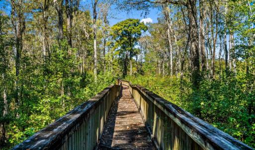 Photo #22 of 384 Chamberlin Rd., Myrtle Beach, SC 1.3 acres