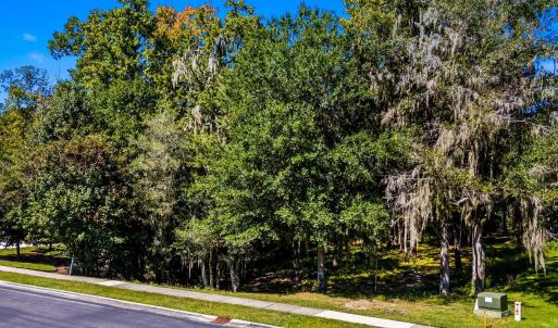 Photo #19 of 384 Chamberlin Rd., Myrtle Beach, SC 1.3 acres