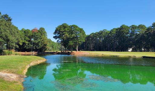 Photo #17 of 131 Waterhall Dr., Murrells Inlet, SC 0.4 acres