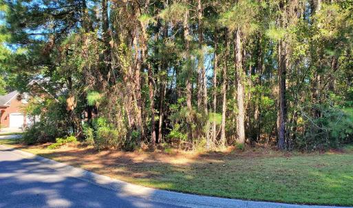 Photo #3 of 131 Waterhall Dr., Murrells Inlet, SC 0.4 acres