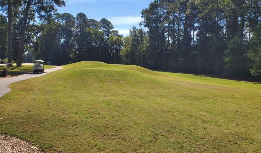 Photo #19 of 131 Waterhall Dr., Murrells Inlet, SC 0.4 acres