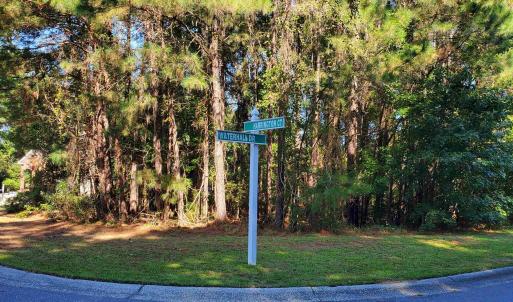 Photo #2 of 131 Waterhall Dr., Murrells Inlet, SC 0.4 acres