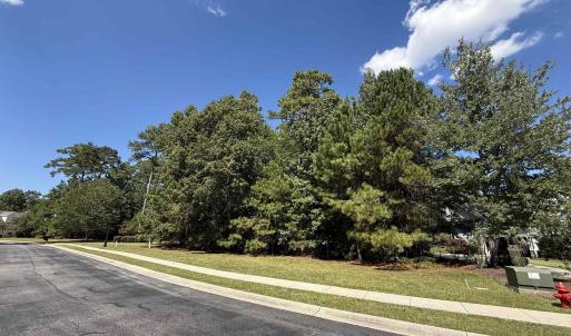 Photo #3 of 155 Low Country Loop, Murrells Inlet, SC 0.5 acres