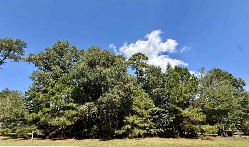 Photo #2 of 155 Low Country Loop, Murrells Inlet, SC 0.5 acres