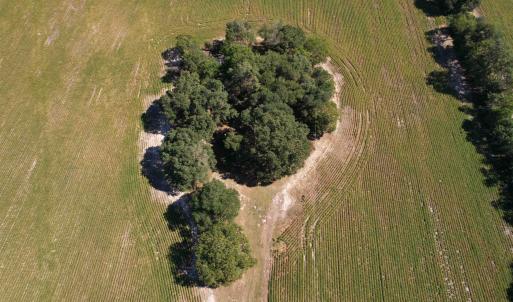 Photo #5 of Lot 2 - Sumter Hwy., Kingstree, SC 5.0 acres
