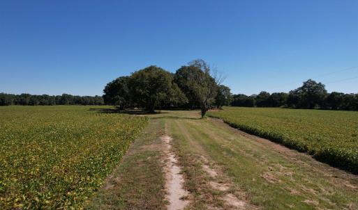Photo #7 of Lot 2 - Sumter Hwy., Kingstree, SC 5.0 acres
