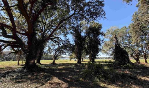 Photo #10 of Lot 2 - Sumter Hwy., Kingstree, SC 5.0 acres