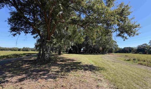 Photo #9 of Lot 2 - Sumter Hwy., Kingstree, SC 5.0 acres