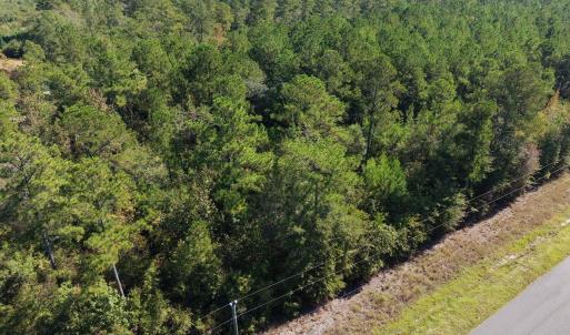 Photo #5 of TBD Bellaire Dr., Nichols, SC 3.1 acres