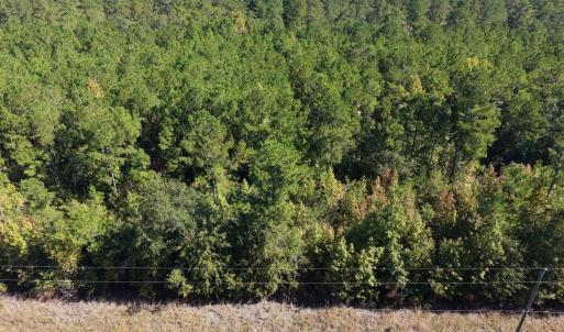 Photo #7 of TBD Bellaire Dr., Nichols, SC 3.1 acres