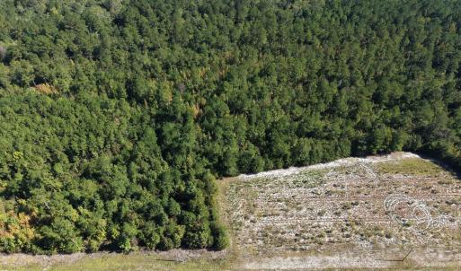 Photo #6 of TBD Bellaire Dr., Nichols, SC 3.1 acres