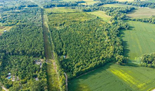 Photo #5 of TBD Green Sea Rd., Green Sea, SC 110.0 acres