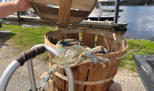 Photo #29 of Lot 161 Seaport Circle, Georgetown, SC 0.3 acres