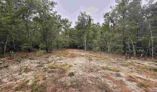 Photo #5 of 1682 Carriage Dr., Loris, SC 10.0 acres
