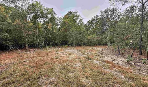 Photo #4 of 1682 Carriage Dr., Loris, SC 10.0 acres