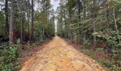 Photo #6 of 1682 Carriage Dr., Loris, SC 10.0 acres