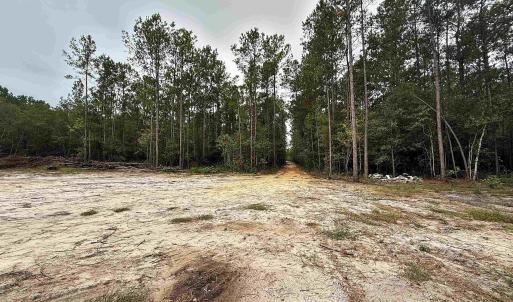 Photo #2 of 1682 Carriage Dr., Loris, SC 10.0 acres