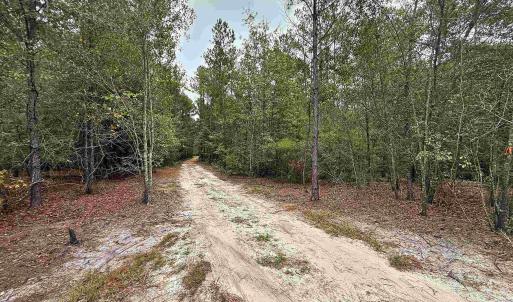 Photo #8 of 1682 Carriage Dr., Loris, SC 10.0 acres