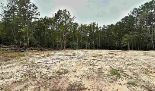 Photo #3 of 1682 Carriage Dr., Loris, SC 10.0 acres