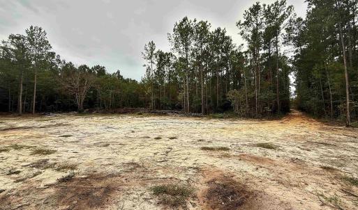 Photo #1 of 1682 Carriage Dr., Loris, SC 10.0 acres