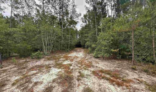 Photo #7 of 1682 Carriage Dr., Loris, SC 10.0 acres
