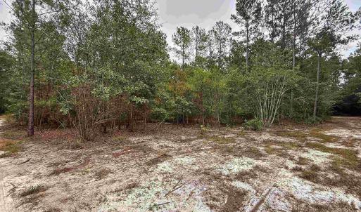 Photo #9 of 1682 Carriage Dr., Loris, SC 10.0 acres