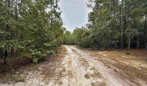 Photo #10 of 1682 Carriage Dr., Loris, SC 10.0 acres