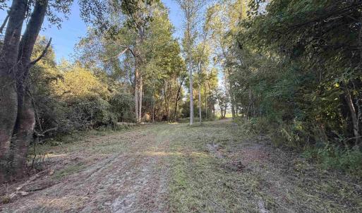 Photo #4 of Pleasant View Church Rd., Nichols, SC 8.5 acres