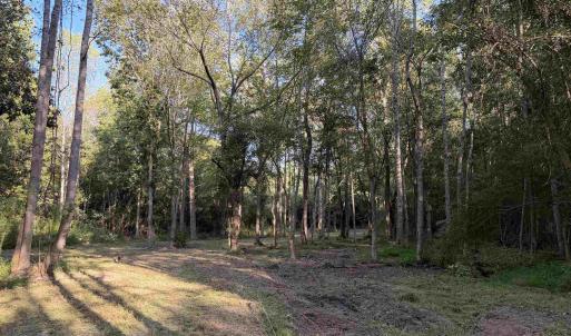 Photo #7 of Pleasant View Church Rd., Nichols, SC 8.5 acres