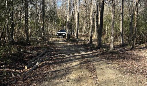 Photo #8 of Pleasant View Church Rd., Nichols, SC 8.5 acres