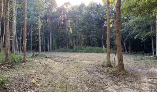 Photo #6 of Pleasant View Church Rd., Nichols, SC 8.5 acres