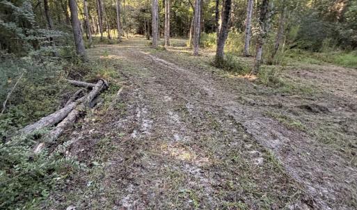Photo #9 of Pleasant View Church Rd., Nichols, SC 8.5 acres