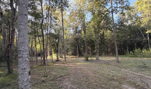 Photo #3 of Pleasant View Church Rd., Nichols, SC 8.5 acres