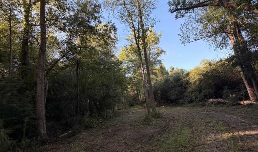 Photo #13 of Pleasant View Church Rd., Nichols, SC 8.5 acres