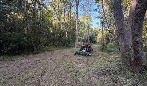 Photo #11 of Pleasant View Church Rd., Nichols, SC 8.5 acres