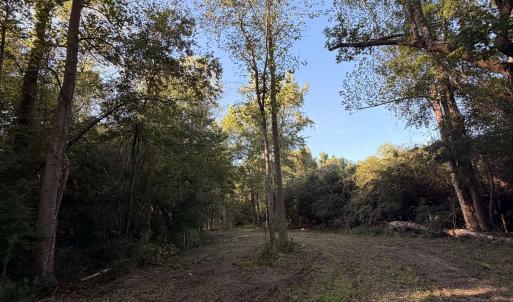 Photo #12 of Pleasant View Church Rd., Nichols, SC 8.5 acres