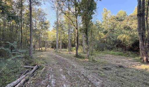 Photo #1 of Pleasant View Church Rd., Nichols, SC 8.5 acres