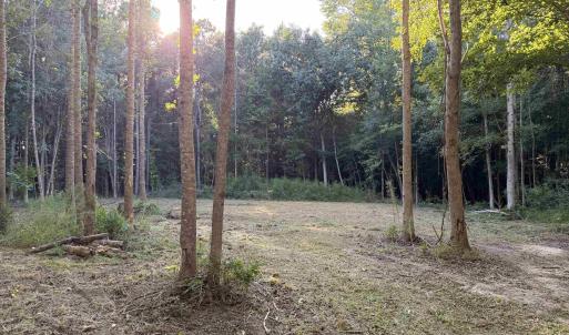 Photo #5 of Pleasant View Church Rd., Nichols, SC 8.5 acres