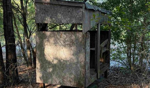 Photo #10 of 7506 Highway 501 Business, Latta, SC 73.0 acres