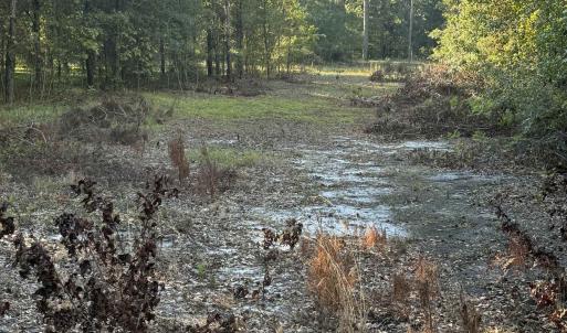 Photo #20 of 7506 Highway 501 Business, Latta, SC 73.0 acres