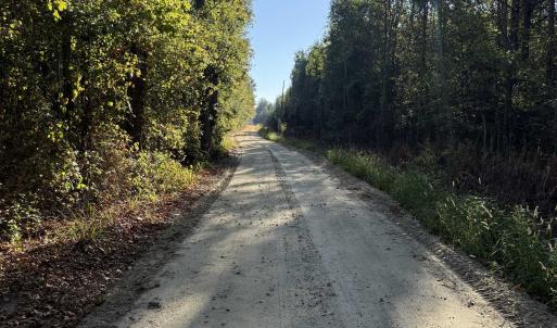 Photo #17 of 7506 Highway 501 Business, Latta, SC 73.0 acres