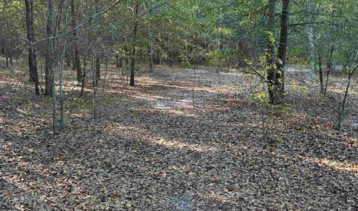 Photo #11 of 7506 Highway 501 Business, Latta, SC 73.0 acres