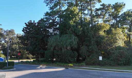 Photo #2 of 5 Cottage Dr., Murrells Inlet, SC 0.2 acres