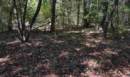 Photo #1 of TBD Tyler Rd., Marion, SC 0.5 acres