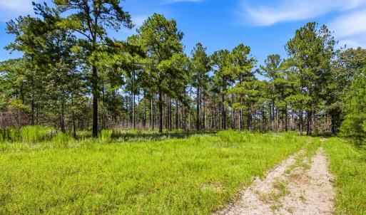 Photo #3 of 1569 DAVE PLOWDEN POND RD, Manning, SC 1,986.0 acres